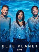 Blue Planet Live Season 1在线观看