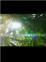 BBC自然世界 丛林动物医院