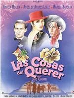 Las cosas del querer在线观看