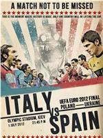 欧洲杯决赛西班牙VS意大利在线观看
