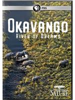 奥卡万戈：梦想之河在线观看