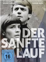 Der sanfte Lauf