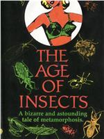 The Age of Insects