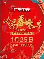 岭南春来早2020广东卫视春节晚会在线观看