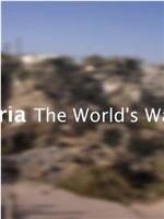 叙利亚：世界战场