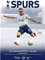 Tottenham Hotspur Football Club vs Fulham F.C.