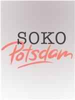 SOKO Potsdam