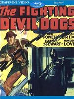 The Fighting Devil Dogs在线观看