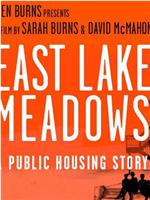 东湖草地：一个关于公共住房的故事在线观看