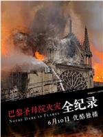 巴黎圣母院火灾全纪录在线观看