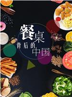 餐桌背后的中国在线观看