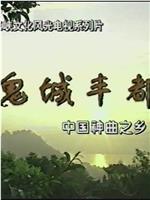 鬼城丰都：中国神曲之乡在线观看