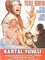 Kartal yuvasi