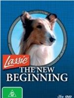 Lassie: A New Beginning在线观看