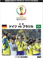02世界杯决赛德国VS巴西