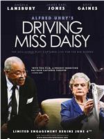 Driving Miss Daisy在线观看