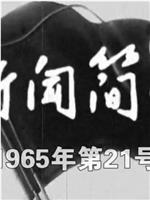 新闻简报1965年第21号