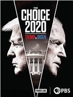 2020年的选择：特朗普VS拜登