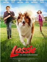 Lassie-冒险之旅在线观看