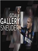 Wesley Sneijder: All Of His 22 Inter Goals