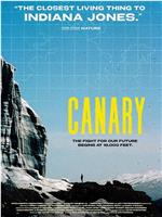 Canary在线观看