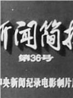 新闻简报1973年第36号