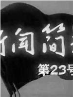 新闻简报1965年第23号在线观看