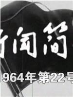 新闻简报1964年第22号在线观看