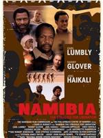 纳米比亚：争取解放的斗争在线观看