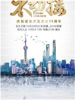 不动摇——庆祝浦东开发开放30周年在线观看