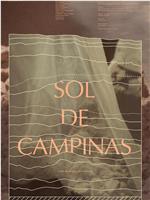 Sol de Campinas在线观看
