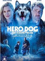 Hero Dog: The Journey Home在线观看