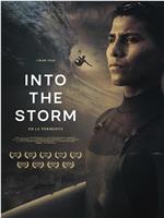 Into the storm