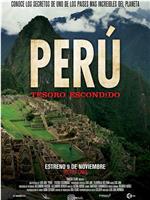 秘鲁：隐藏的宝藏在线观看