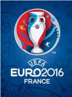 2016年欧洲杯纪录片——印象法兰西在线观看