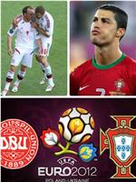 欧洲杯丹麦VS葡萄牙在线观看