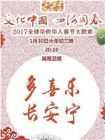 2017年全球华侨华人春节大联欢在线观看