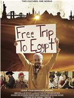 免费埃及之旅在线观看