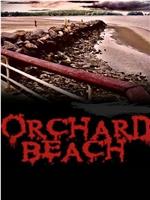 Orchard Beach