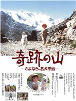 奇跡の山 さよなら、名犬平治在线观看