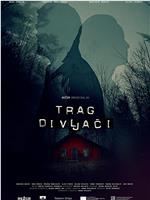 Trag divljaci在线观看