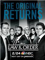 法律与秩序 第二十一季在线观看