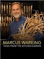 马库斯·沃宁的花园与厨房 第一季在线观看