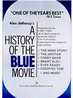 “Blue Movie”的历史