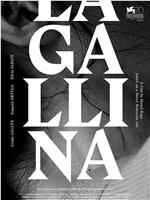 La gallina在线观看