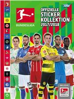 2017-2018赛季 德国足球甲级联赛
