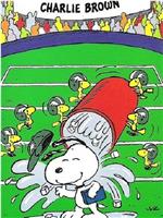 You're in the Super Bowl, Charlie Brown在线观看