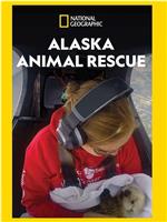 阿拉斯加野生动物救援 第一季在线观看