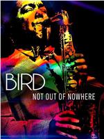 Bird: Not Out Of Nowhere在线观看