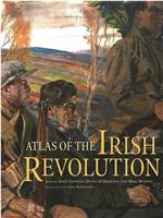 爱尔兰革命